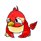 Teleurgesteld vogeltje: geen straatnamen meer over!